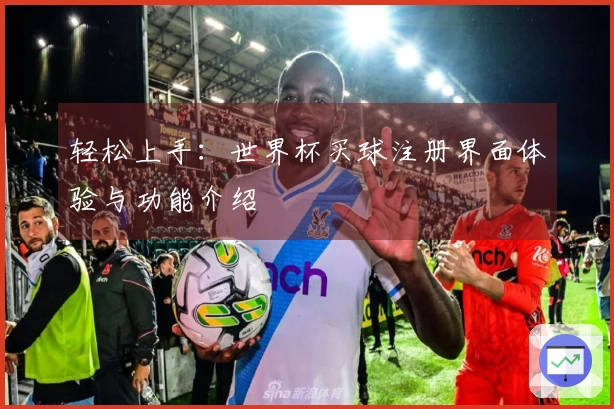 轻松上手:世界杯买球注册界面体验与功能介绍