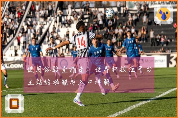 使用体验全指南：世界杯投注平台主站的功能与入口详解