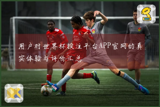 用户对世界杯投注平台APP官网的真实体验与评价汇总
