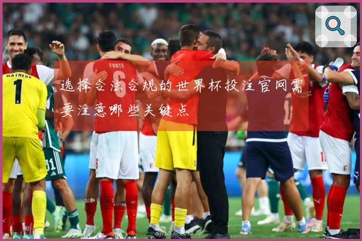 选择合法合规的世界杯投注官网需要注意哪些关键点