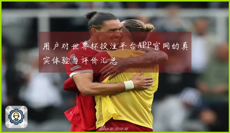 用户对世界杯投注平台APP官网的真实体验与评价汇总
