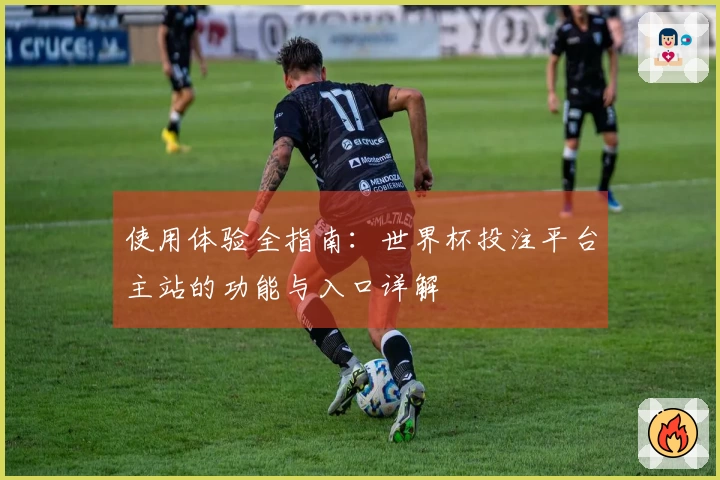 使用体验全指南：世界杯投注平台主站的功能与入口详解