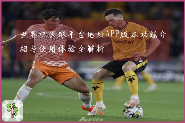 世界杯买球平台地址APP版本功能介绍与使用体验全解析