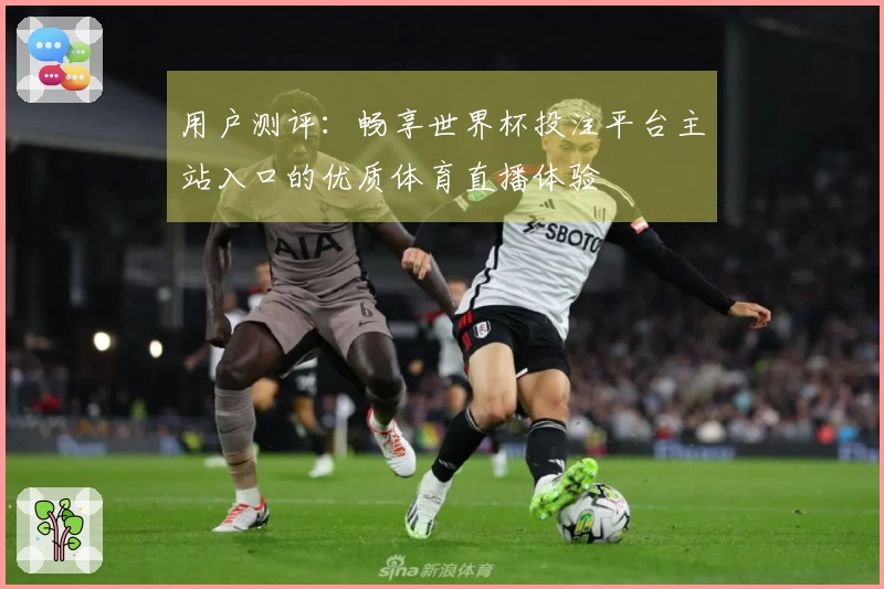 用户测评：畅享世界杯投注平台主站入口的优质体育直播体验
