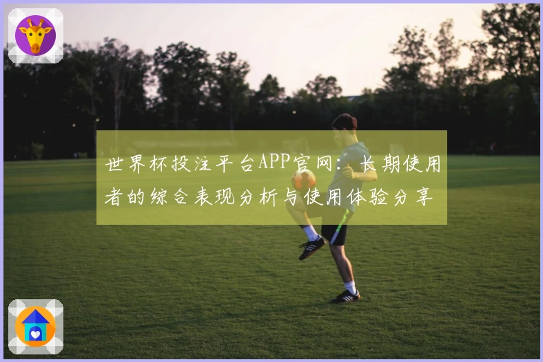 世界杯投注平台APP官网：长期使用者的综合表现分析与使用体验分享
