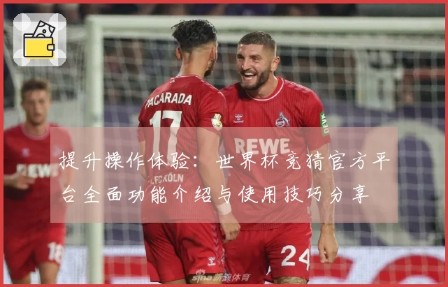 提升操作体验：世界杯竞猜官方平台全面功能介绍与使用技巧分享